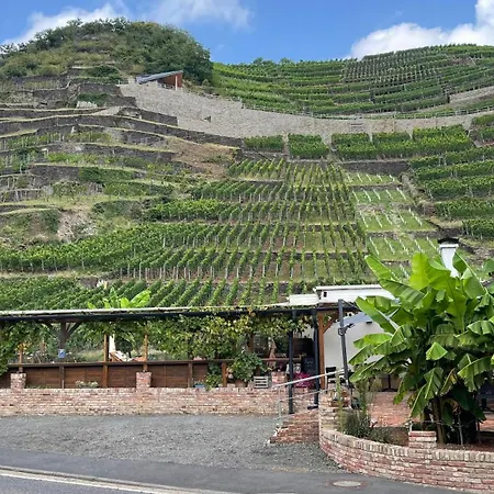 Winzerschenke-2